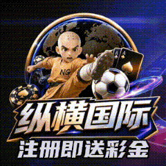 纵横国际